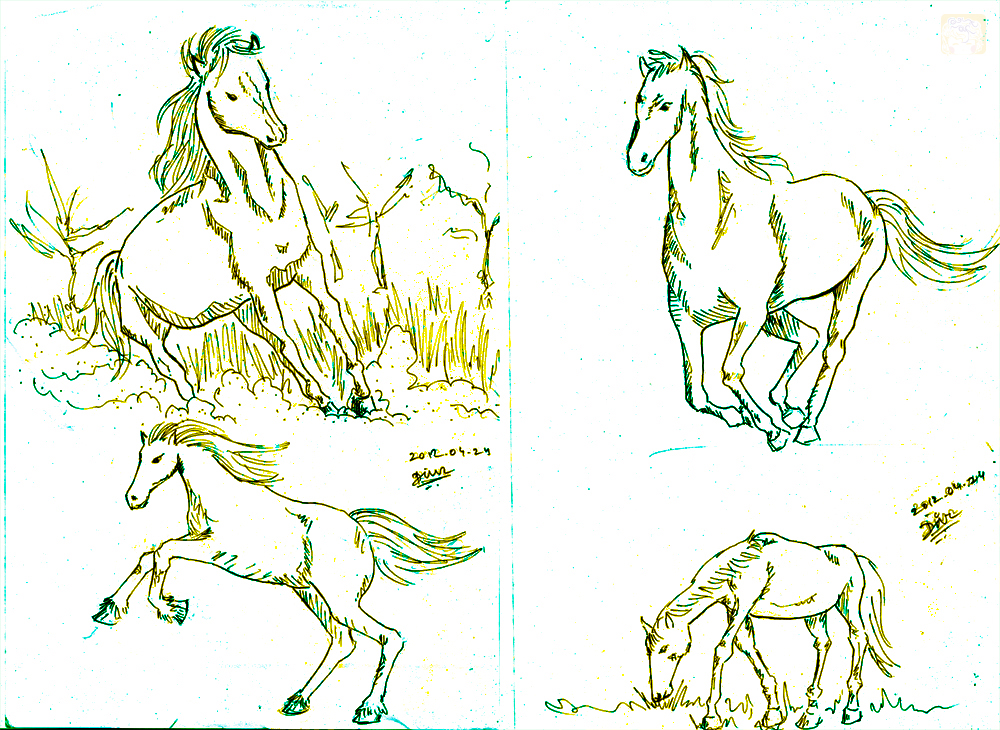 Art-of-Divya-Suvarna_Ink-paint_20120424 Horse study