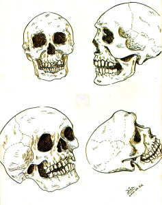 Art-of-Divya-Suvarna_Ink-paint_20120426 Skulls_color_re